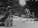THE ANDY GRIFFITH SHOW
